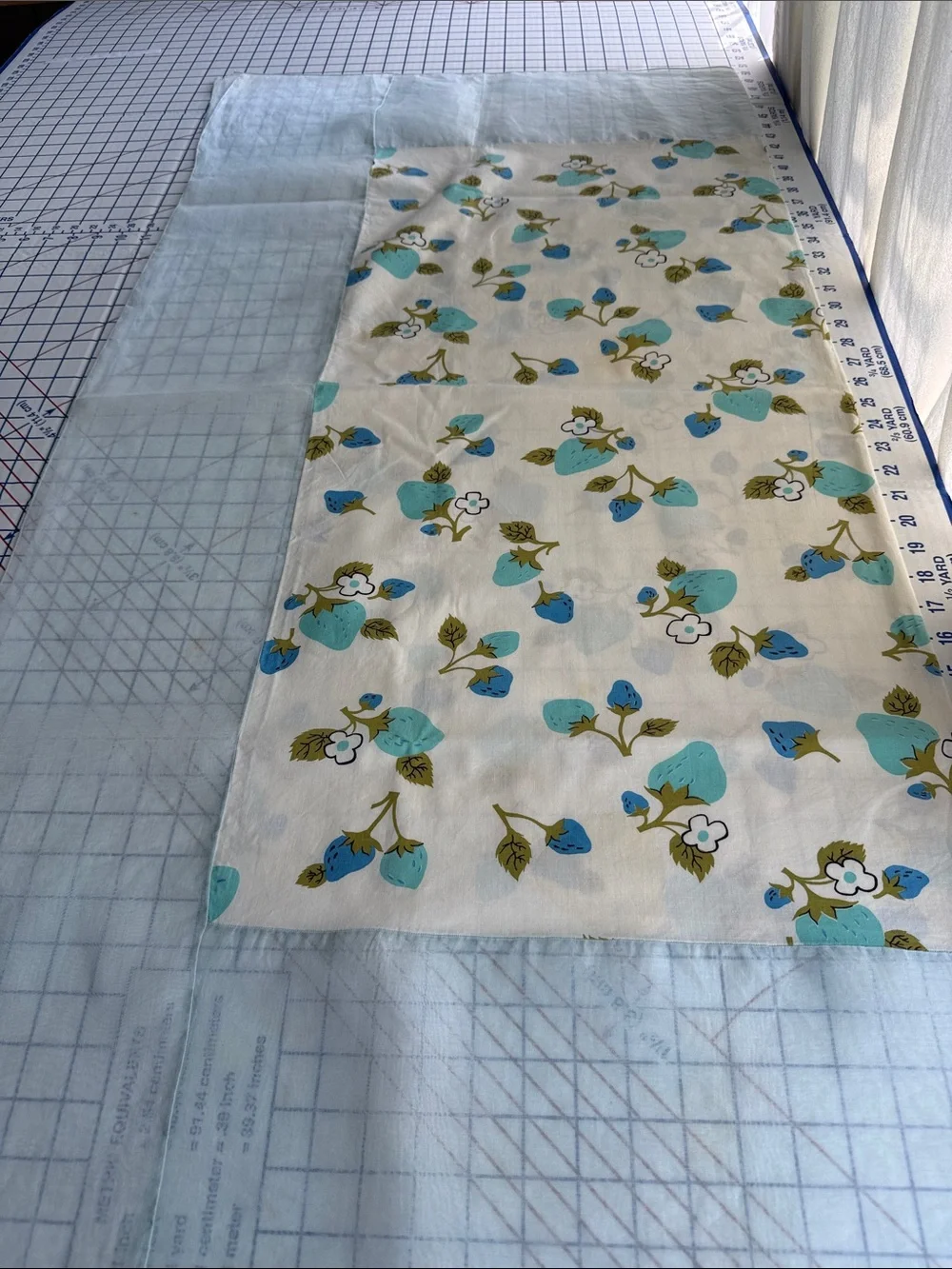 Vintage Handmade Strawberry Tablecloth 50x50 Blue Organdy Border Mid Century